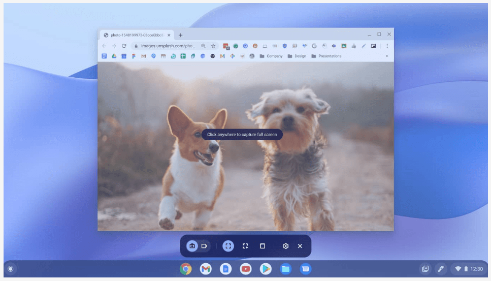 screen capture tool chromebook